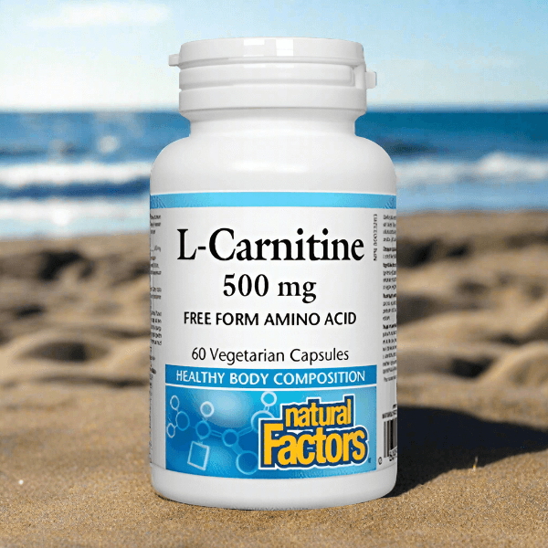 Natural Factors L-Carnitine 500mg, 60 Ct - Vitamins House